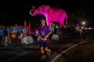 BIB: 
                            <button type="button" onclick="openModal(26552244)" class="btn btn-primary btn-sm float-right btn-popup" data-toggle="modal" data-target=".modal-high-quality">
                        <i class="fas fa-shopping-cart"></i> Add to Cart
                    </button>
                                            <button type="button" onclick="isThisMe(26552244, true)" class="btn btn-success btn-sm float-right btn-popup btn-isme hidden" data-toggle="tooltip" data-placement="bottom" title="นี่คือรูปของคุณใช่ไหม คลิกที่นี่เพื่อเอาเข้าอัลบั้ม">
                        <i class="fas fa-plus"></i> Add to album
                    </button>
                    <button type="button" onclick="isThisMe(26552244, false)" class="btn btn-warning btn-sm float-right btn-popup btn-isnotme hidden">
                        <i class="fas fa-ban"></i> Remove from album
                    </button>